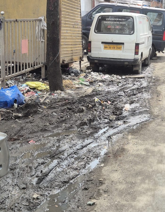 20250529 144206 copy copy